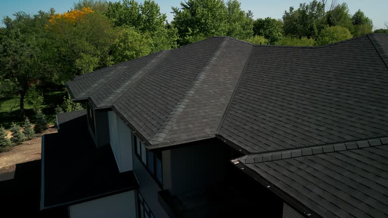 Best Steel Roofing  in Rancho Alegre, TX