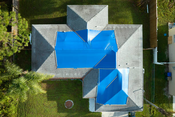 Trusted Rancho Alegre, TX Roofing Service Experts