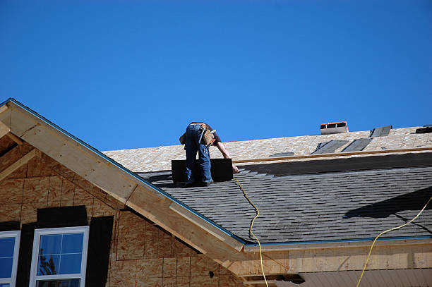 Best Chimney Flashing Repair  in Rancho Alegre, TX